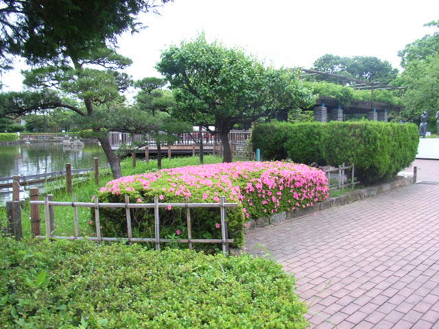 ���H�������K�N