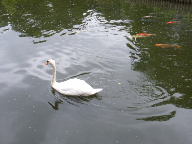 ���H�������K�N