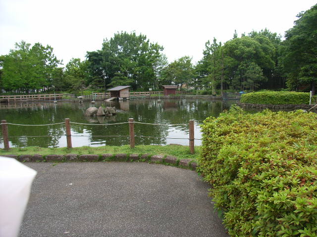 �r�쎩�R�����̕��i