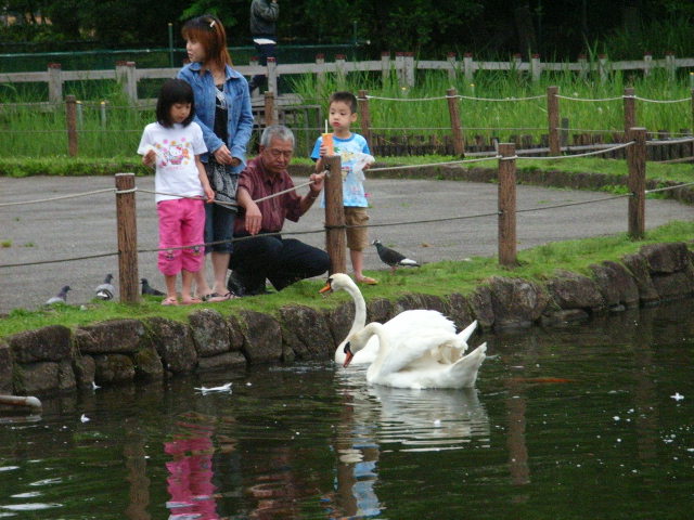 �q�������Ɣ���