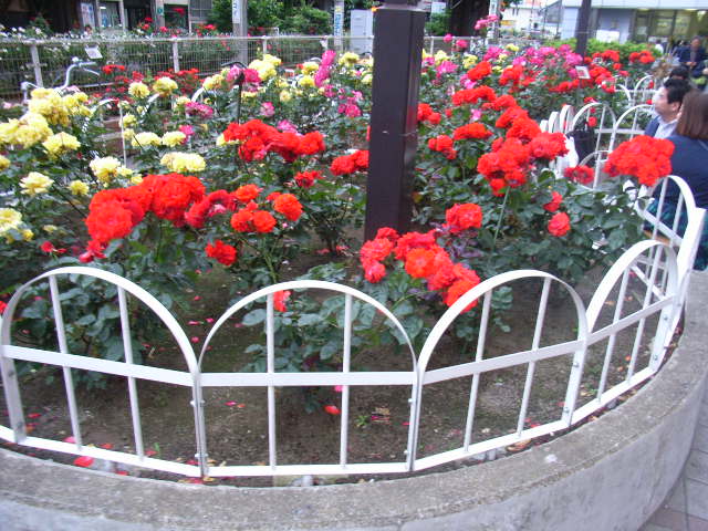 ���H�������K�N