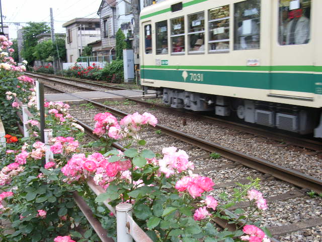 ���H�������K�N